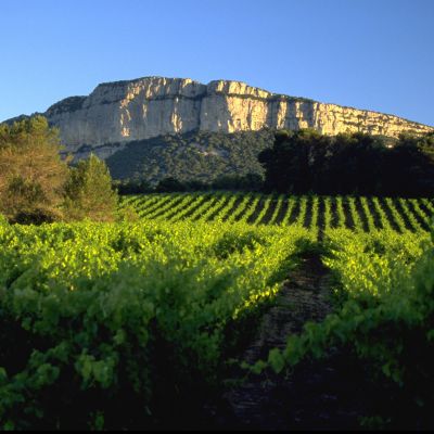 Pic Saint Loup 2