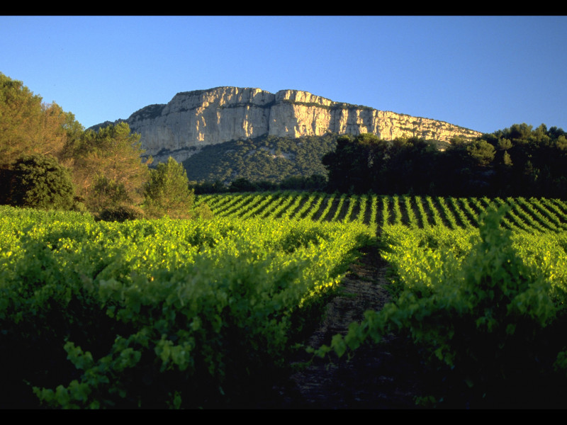 Pic Saint Loup 2.jpg