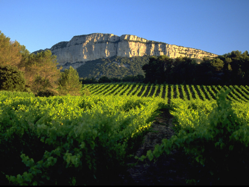 Pic Saint Loup 2.jpg