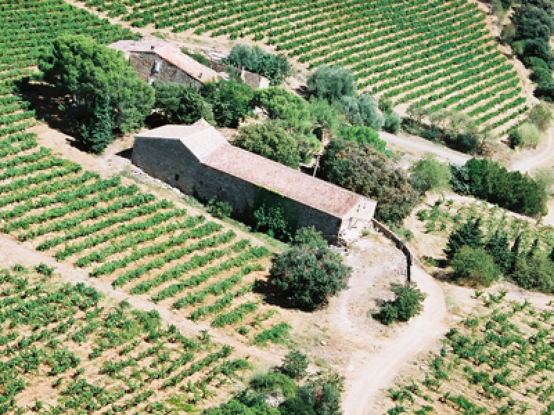 chateau pech menel 2.jpg