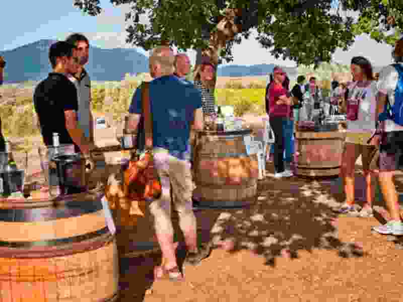 circulades vigneronnes terrasses du larzac.jpg