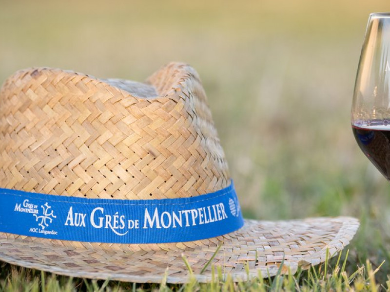 balade gourmande grès de Montpellier.jpg