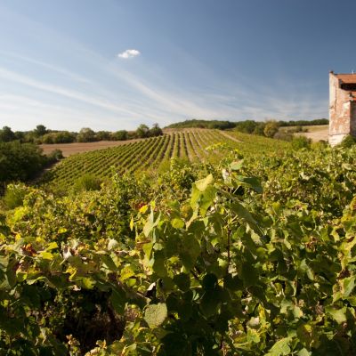 Gaillac