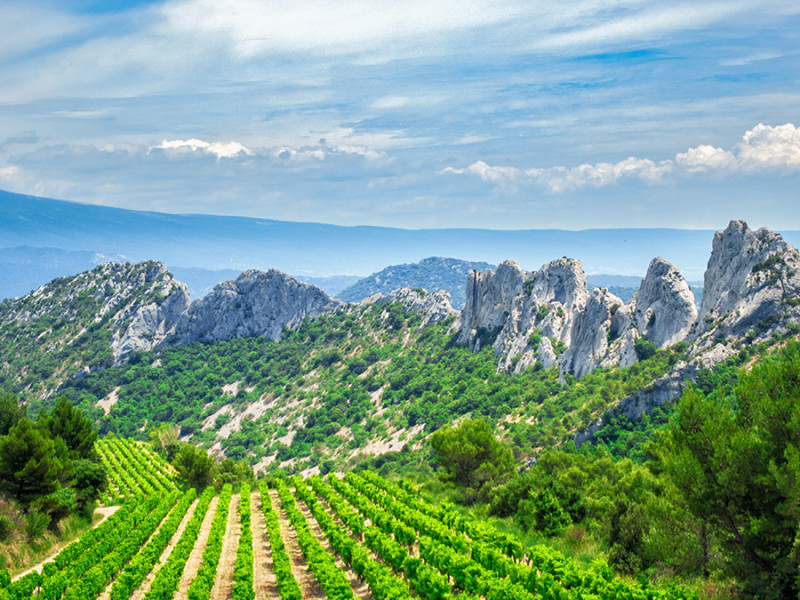 dentelles-montmirail-gigondas-rhone-meridional.jpg