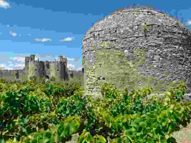 vignoble - aigues-mortes-remparts-102-768x511.jpg
